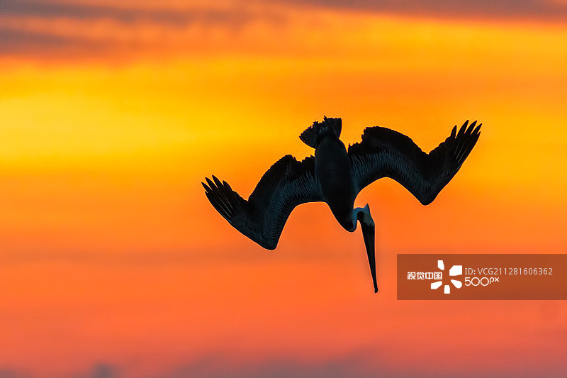 日落潜水员图片素材