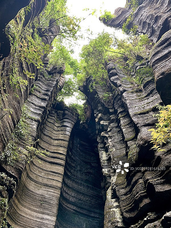 梭布垭石林图片素材