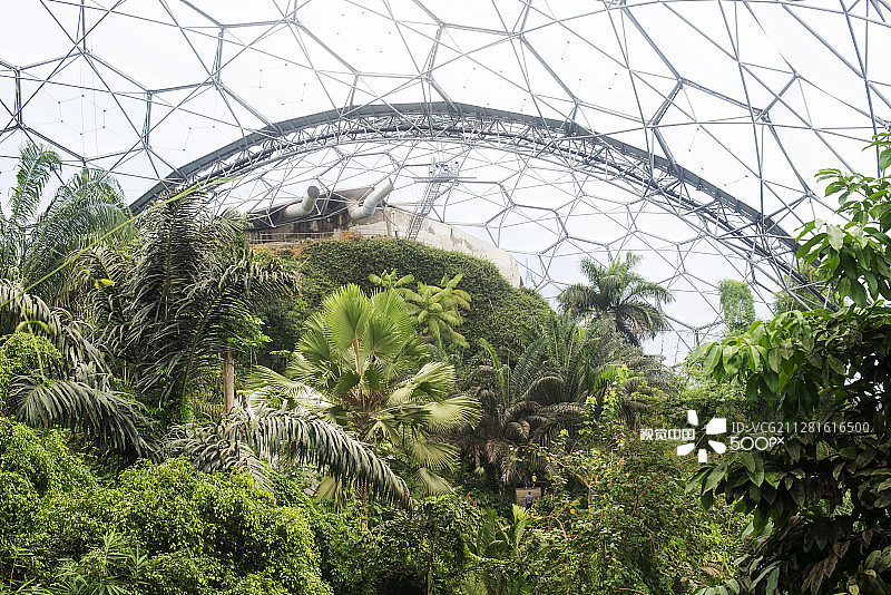 生物圈景观(1)图片素材