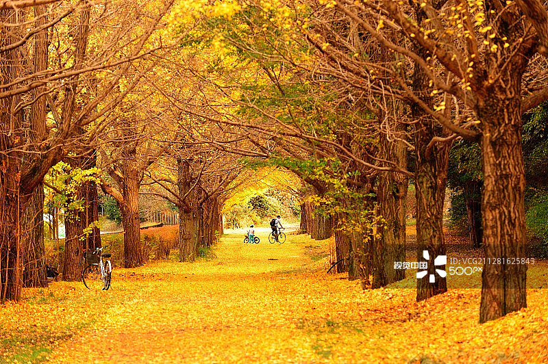 金色走廊图片素材