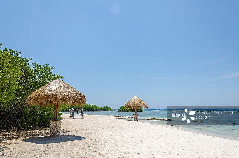 透过阿鲁巴海滩的红树林图片素材