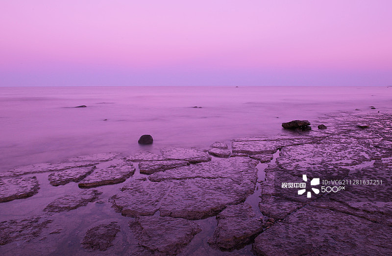 紫色波罗的海图片素材