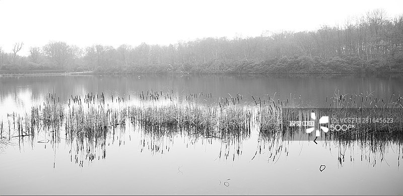 2015年12月13日，弗吉尼亚水域图片素材