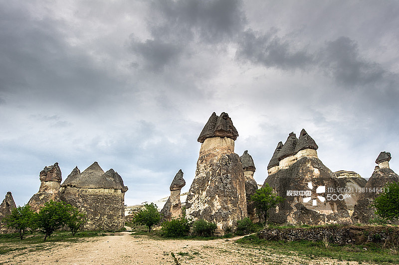 帕夏贝图片素材