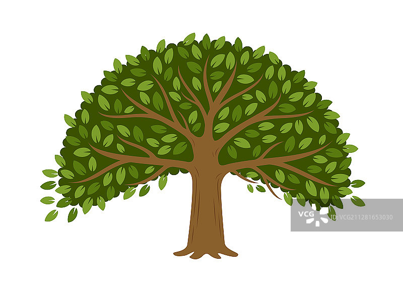 树孤立的白色背景图片素材