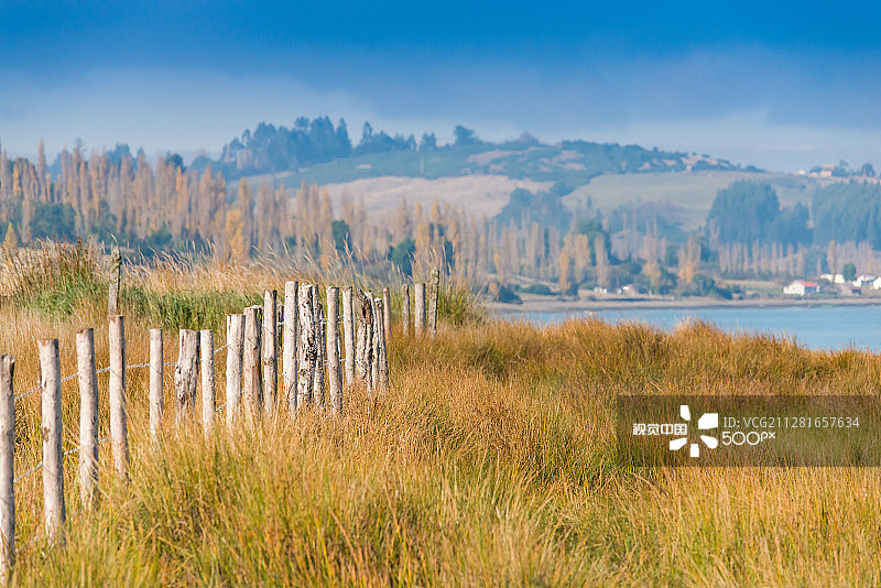 栅栏周围的草地图片素材