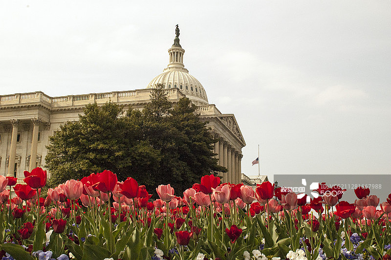 多云天气下的光绘色彩图片素材