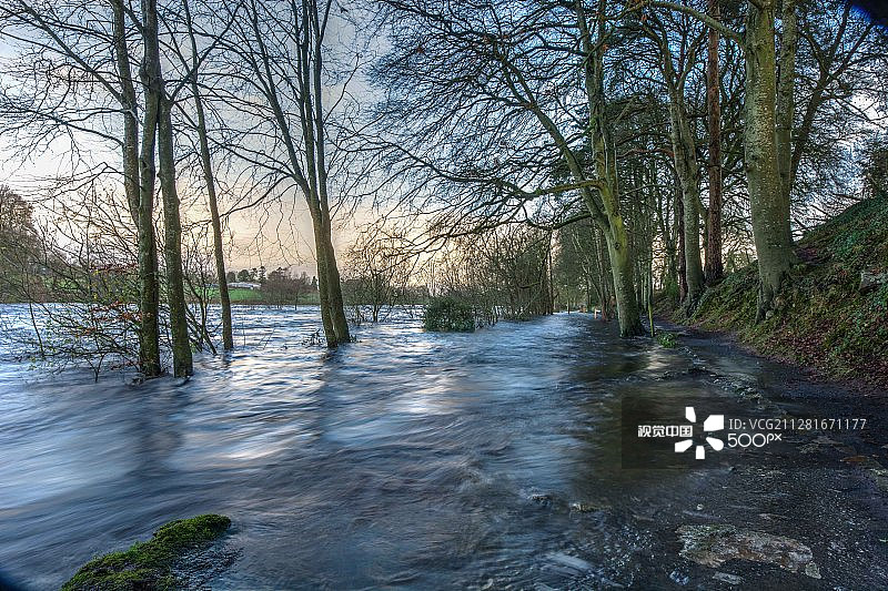 香农河洪水 1图片素材