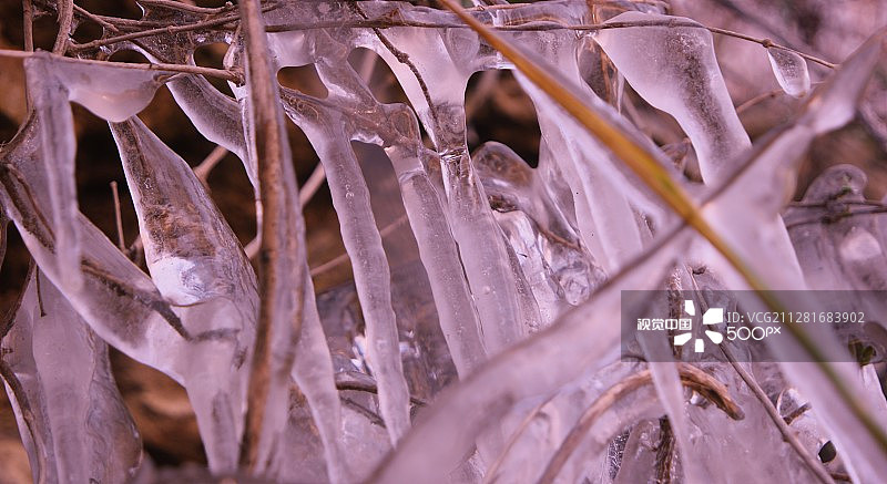 自然纯净图片素材