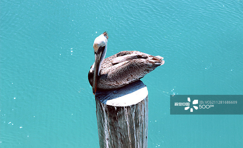 基韦斯特（佛罗里达州）图片素材