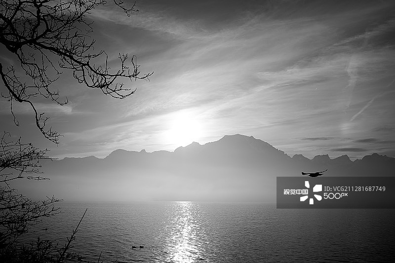 日内瓦湖和阿尔卑斯山(4)图片素材