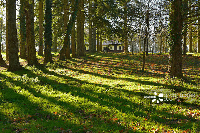 小木屋图片素材