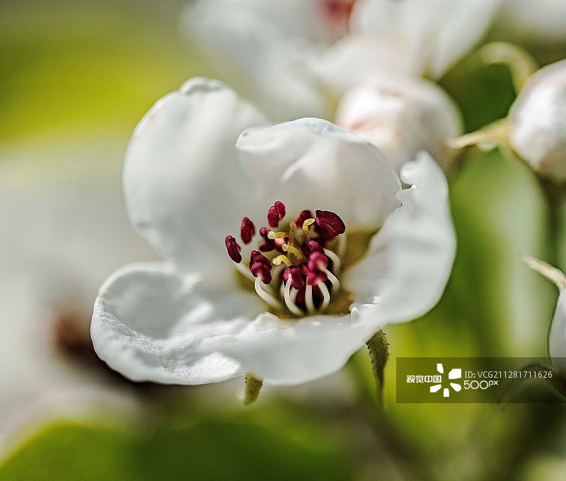 瑞典自然风光图片素材