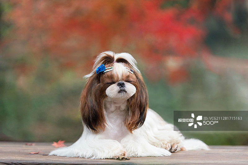 让我安静一会儿图片素材