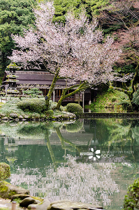 兼六园图片素材