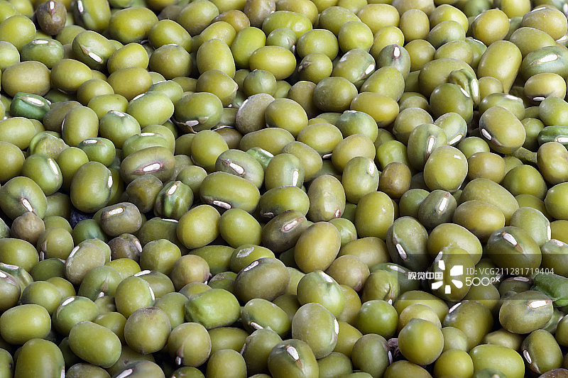 绿扁豆图片素材