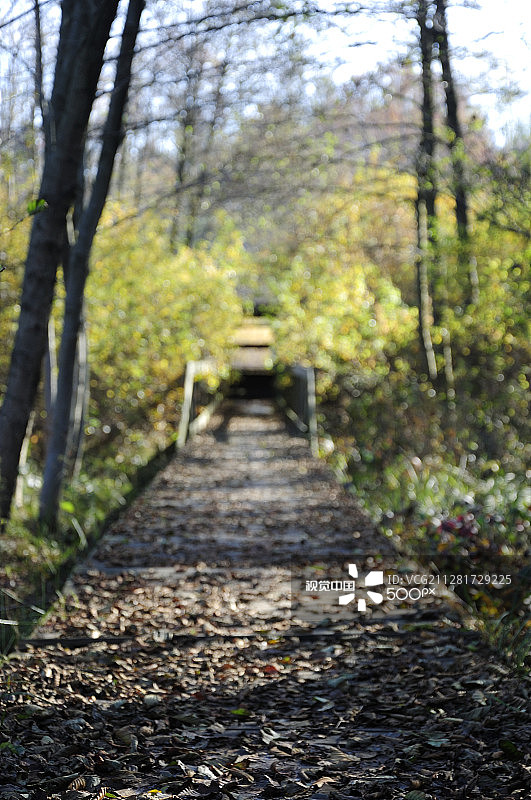 单行道图片素材