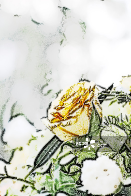 无标题的图片素材