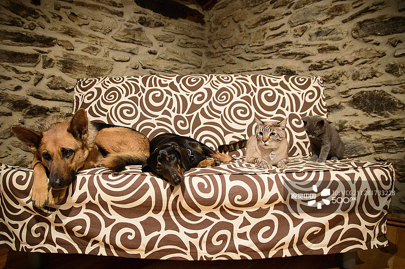 好朋友图片素材