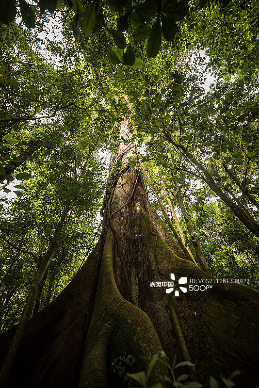 四百年图片素材