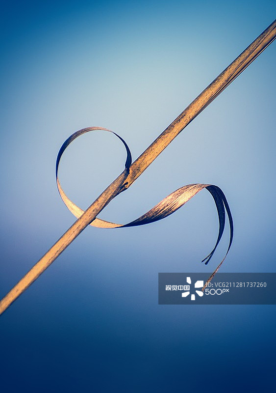 艺术碎片图片素材