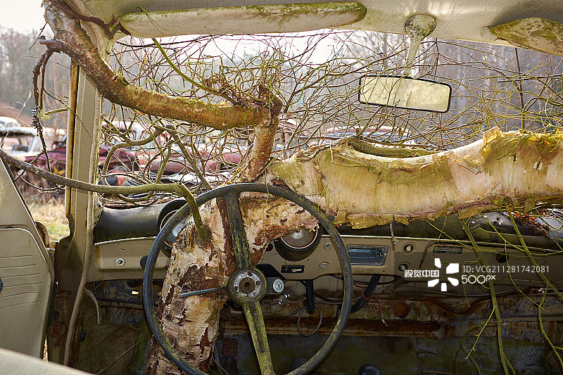 垃圾场图片素材