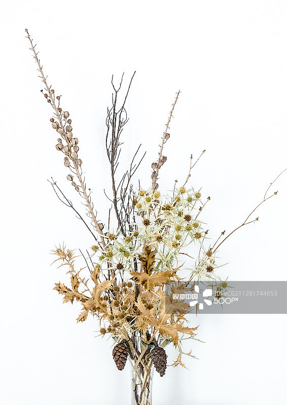 西班牙的枯萎花朵图片素材