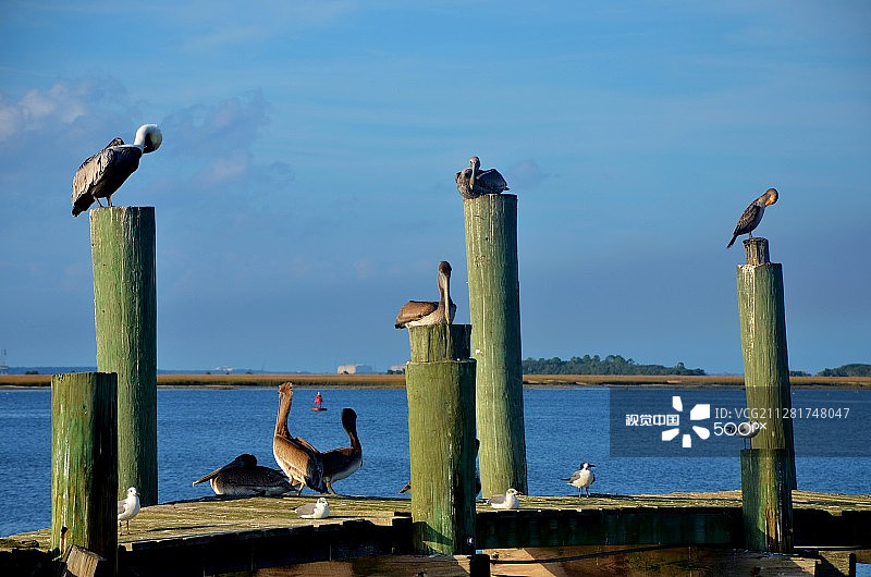 图片素材图片素材