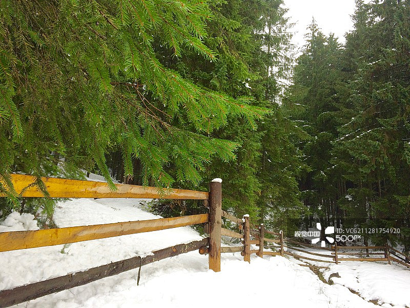 围栏背景森林图片素材