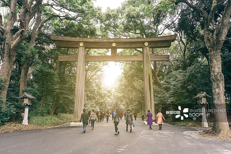 原宿区的代代木公园图片素材