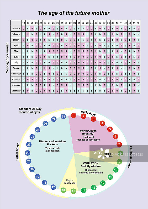 怀孕日历与待产图片素材