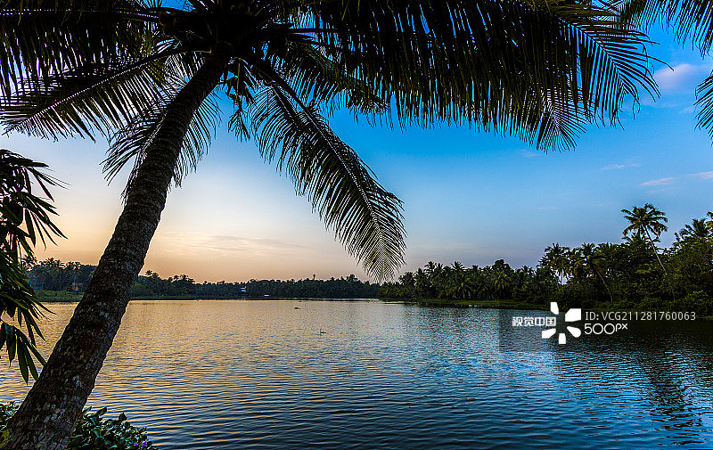 红树林岛屿日落图片素材