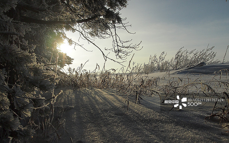 寒冷的西伯利亚图片素材