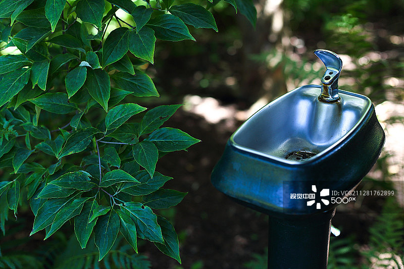 阴凉处中的喷泉图片素材