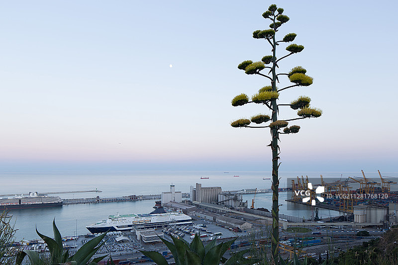 西班牙巴塞罗那港口图片素材