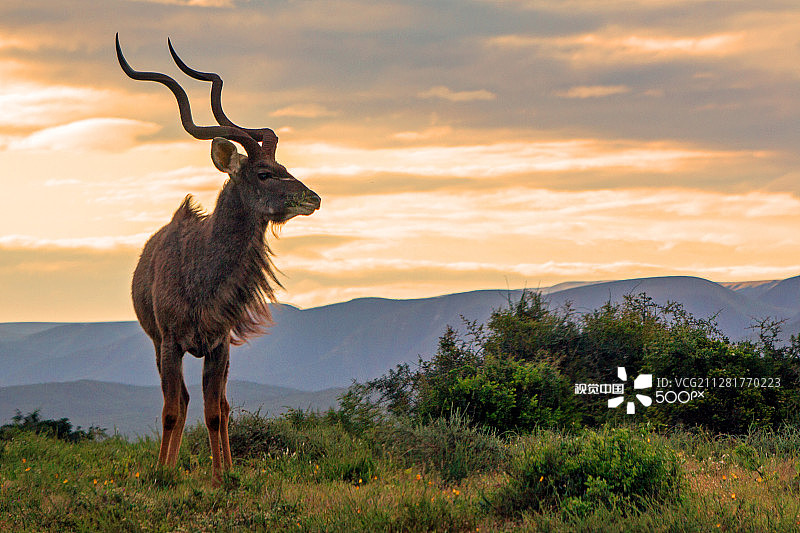 不管怎样,图片素材