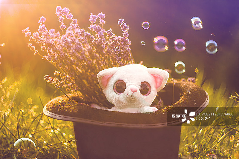 戴着帽子的毛绒玩具在夏日草地上图片素材