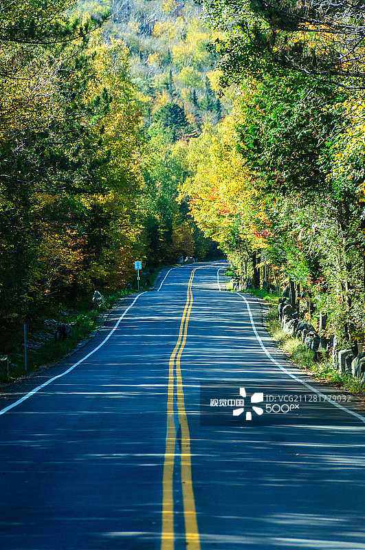 初秋时节的白脸山路图片素材