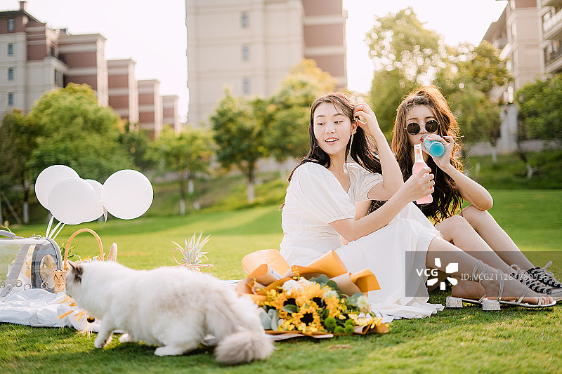户外年轻人野餐与猫图片素材