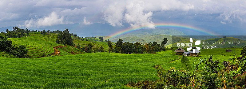 稻田上的彩虹图片素材
