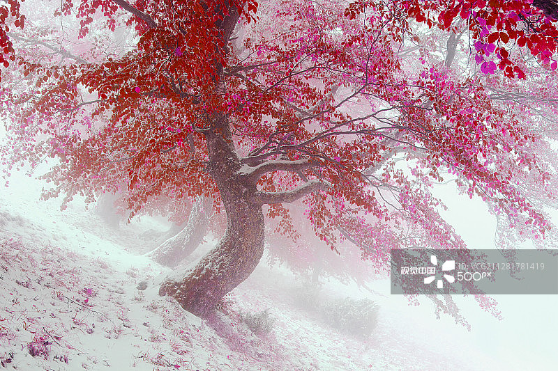 第一场雪图片素材