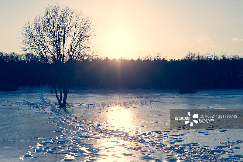 Al Sabo冰图片素材