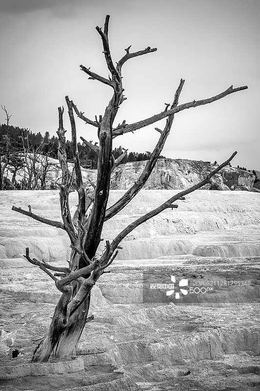 猛犸温泉图片素材