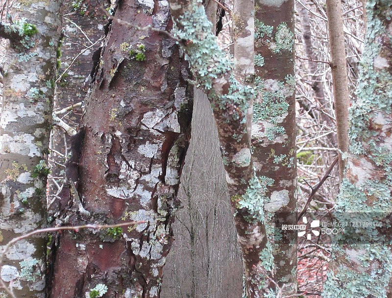 1300C3PHBG图片素材