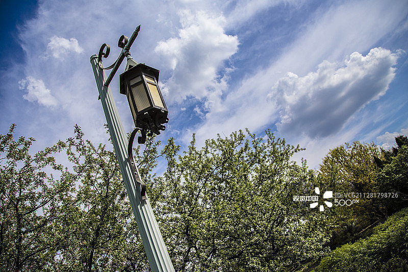密歇根州立大学的灯柱图片素材
