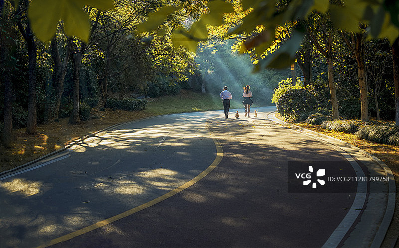 遗爱湖早晨图片素材