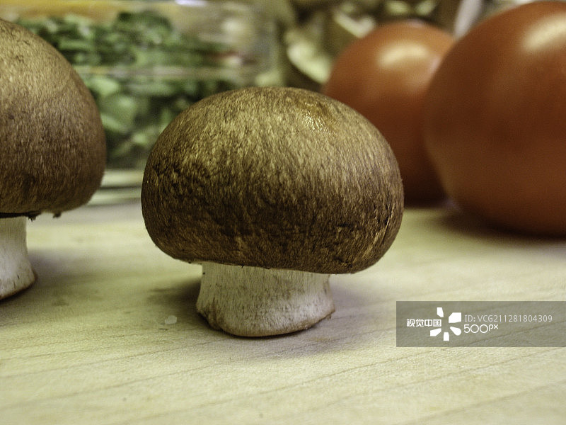 完美的波多贝勒蘑菇图片素材