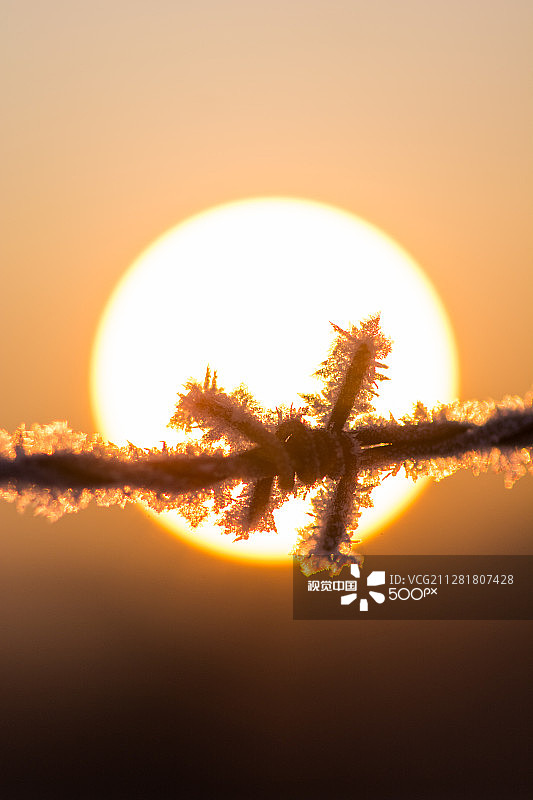 围栏II图片素材