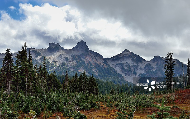 塔图什山脉的草地图片素材