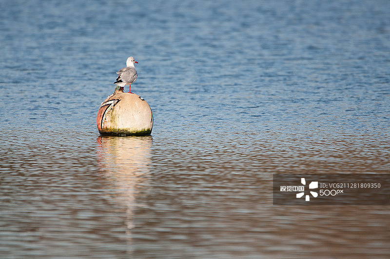 瞭望浮标图片素材